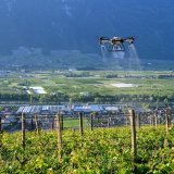 Les drones sont de plus en plus présents pour sulfater